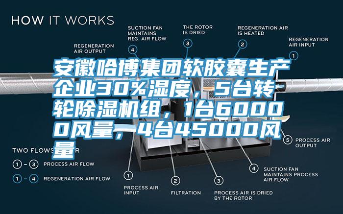 安徽哈博集團軟膠囊生產企業(yè)30%濕度，5臺轉輪除濕機組，1臺60000風量，4臺45000風量