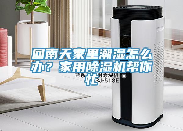 回南天家里潮濕怎么辦？家用除濕機幫你忙