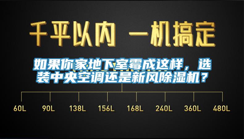 如果你家地下室霉成這樣，選裝中央空調(diào)還是新風(fēng)除濕機？