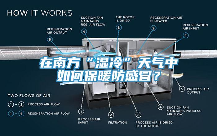 在南方“濕冷”天氣中如何保暖防感冒？