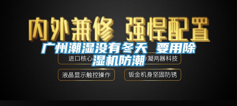 廣州潮濕沒有冬天 要用除濕機防潮