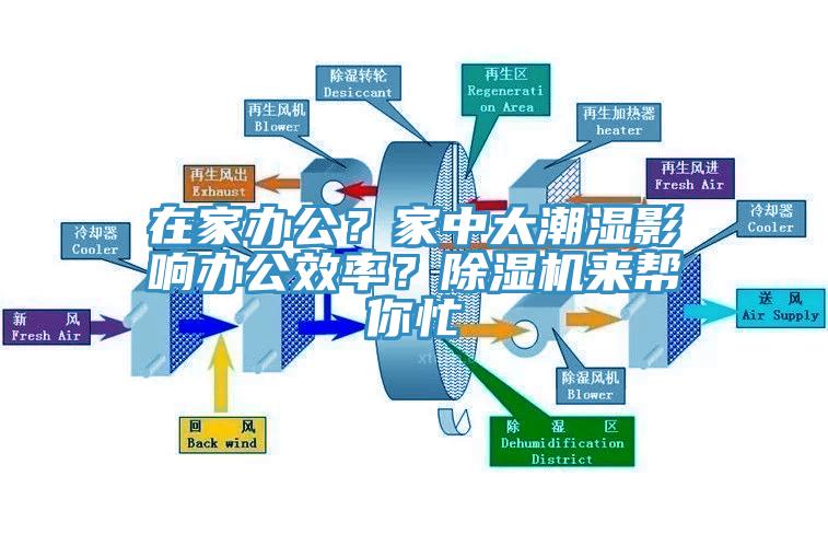 在家辦公？家中太潮濕影響辦公效率？除濕機來幫你忙