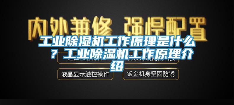 工業(yè)除濕機工作原理是什么 ？工業(yè)除濕機工作原理介紹