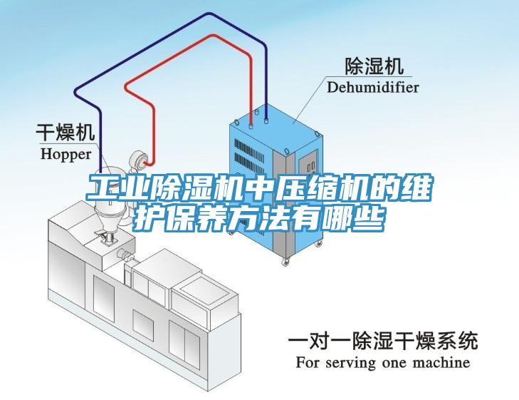 工業(yè)除濕機(jī)中壓縮機(jī)的維護(hù)保養(yǎng)方法有哪些