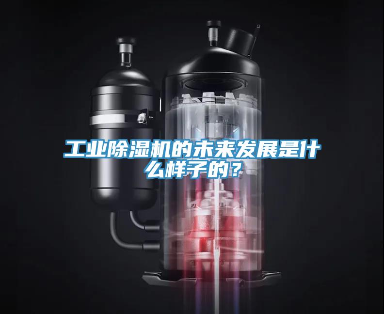 工業(yè)除濕機(jī)的未來(lái)發(fā)展是什么樣子的？