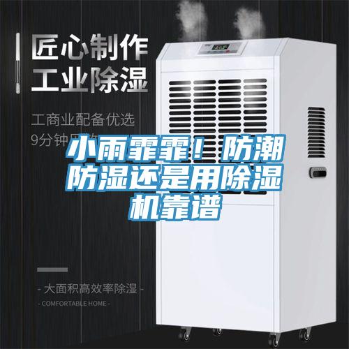 小雨霏霏！防潮防濕還是用除濕機靠譜