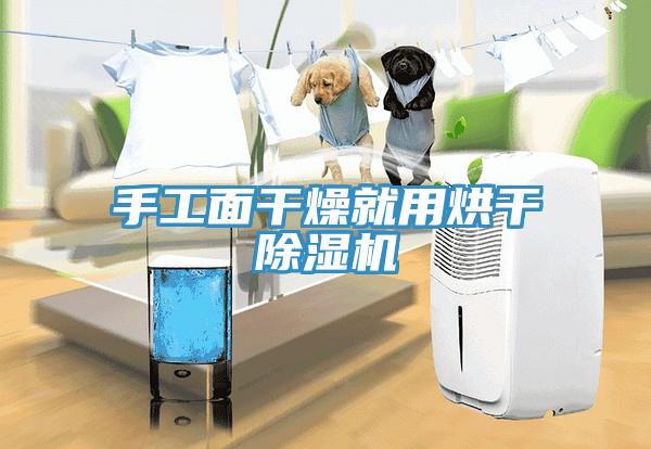 手工面干燥就用烘干除濕機(jī)