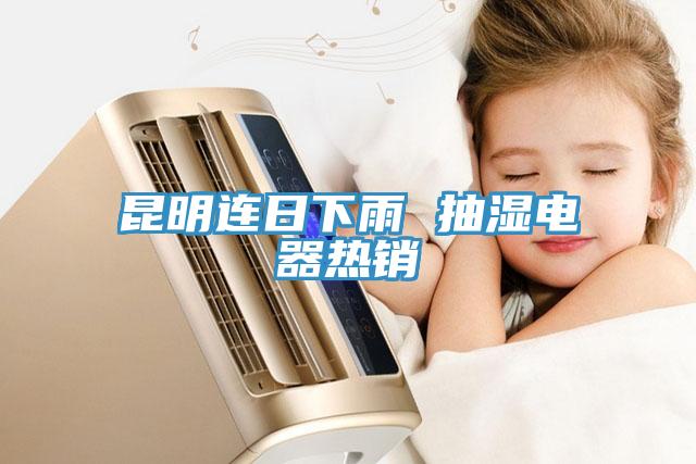 昆明連日下雨 抽濕電器熱銷