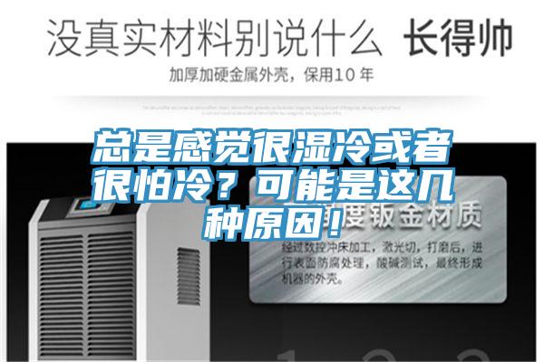 總是感覺很濕冷或者很怕冷？可能是這幾種原因！