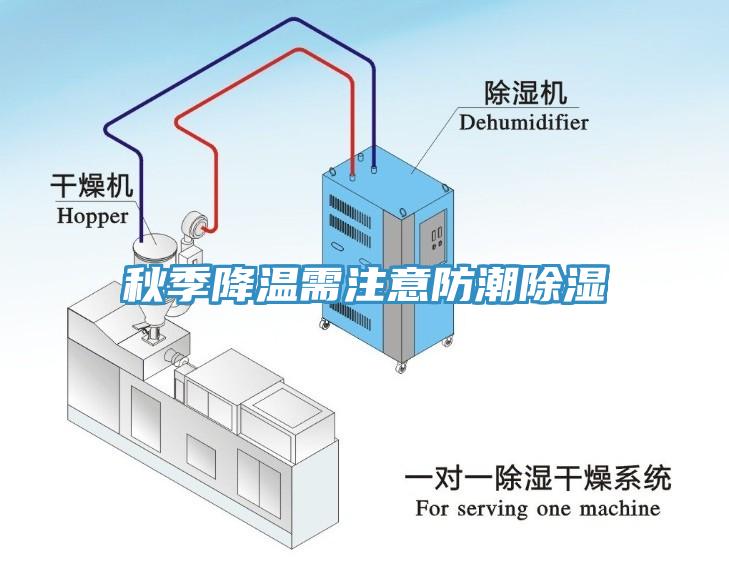 秋季降溫需注意防潮除濕