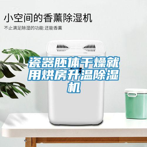 瓷器胚體干燥就用烘房升溫除濕機(jī)