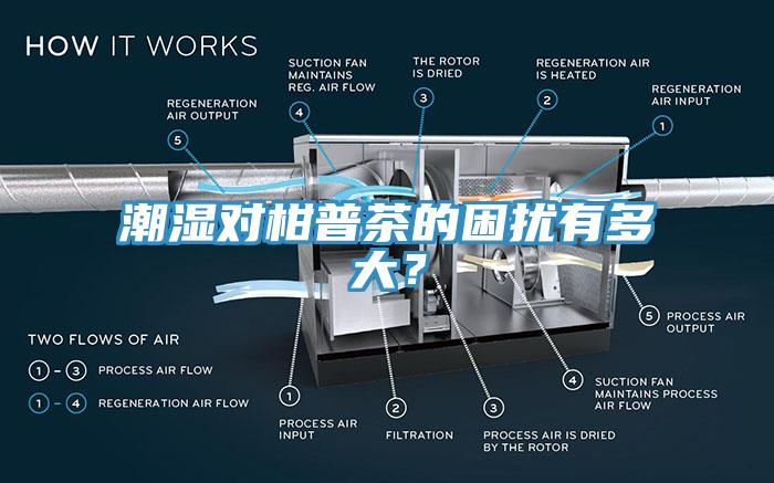 潮濕對柑普茶的困擾有多大？