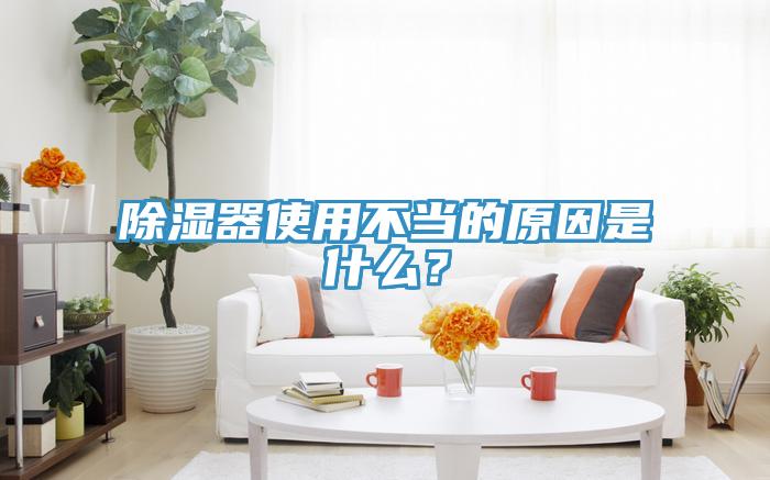 除濕器使用不當(dāng)?shù)脑蚴鞘裁矗?></div>
								<div   id=