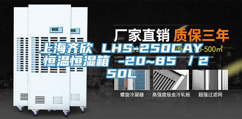 上海齊欣 LHS-250CAY 恒溫恒濕箱 -20~85℃／250L