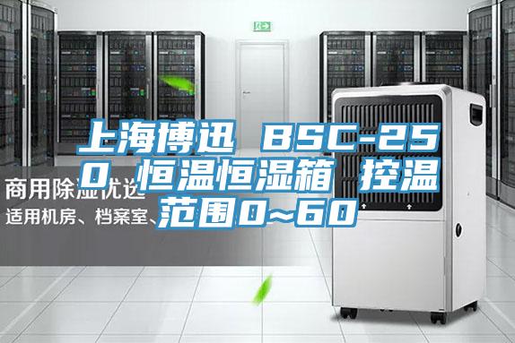 上海博迅 BSC-250 恒溫恒濕箱 控溫范圍0~60℃