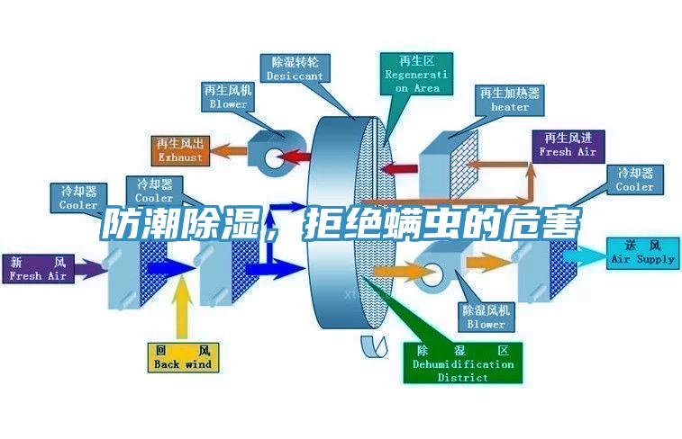 防潮除濕，拒絕螨蟲的危害