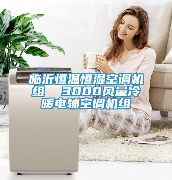 臨沂恒溫恒濕空調(diào)機(jī)組  3000風(fēng)量冷暖電輔空調(diào)機(jī)組