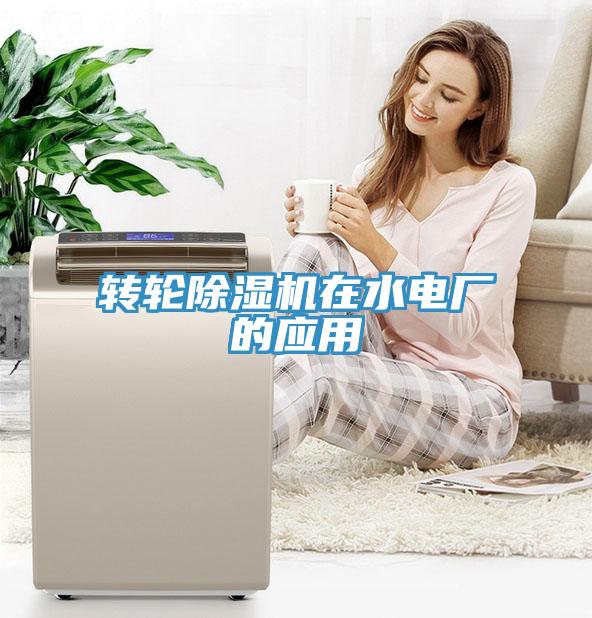 轉(zhuǎn)輪除濕機在水電廠的應用