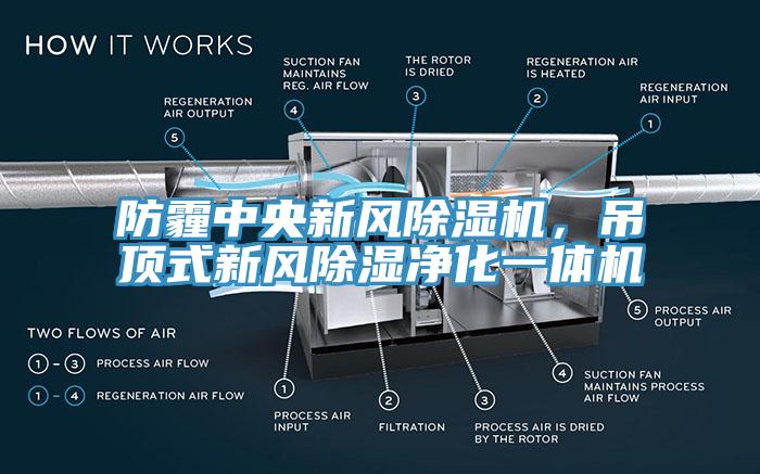 防霾中央新風(fēng)除濕機，吊頂式新風(fēng)除濕凈化一體機