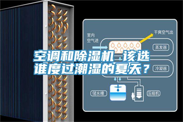空調(diào)和除濕機 該選誰度過潮濕的夏天？