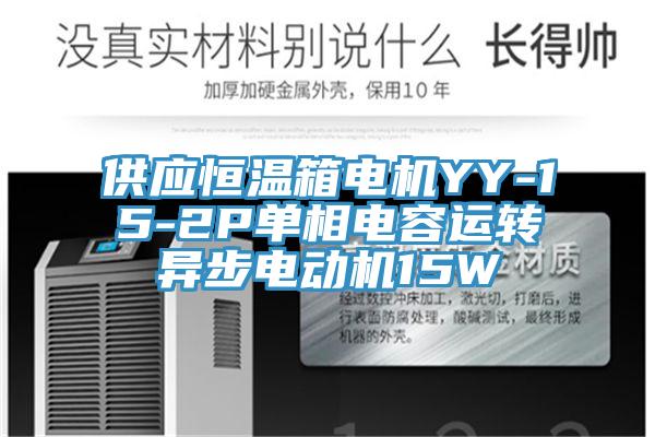 供應恒溫箱電機YY-15-2P單相電容運轉異步電動機15W