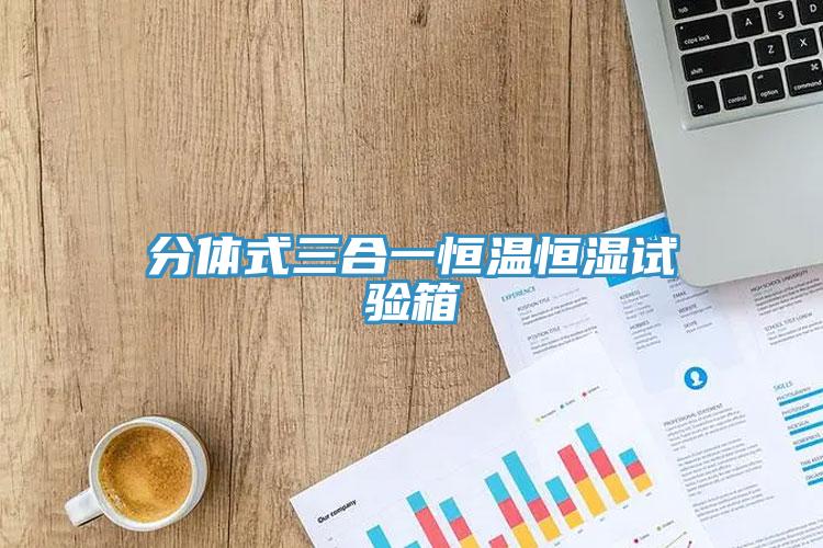 分體式三合一恒溫恒濕試驗(yàn)箱