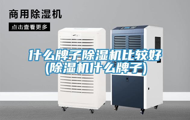 什么牌子除濕機比較好(除濕機什么牌子)