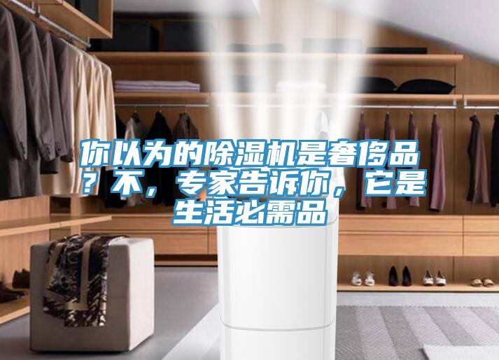 你以為的除濕機(jī)是奢侈品？不，專家告訴你，它是生活必需品