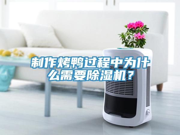 制作烤鴨過程中為什么需要除濕機？