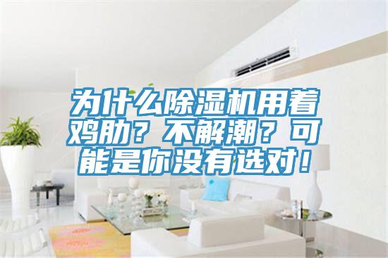 為什么除濕機用著雞肋？不解潮？可能是你沒有選對！