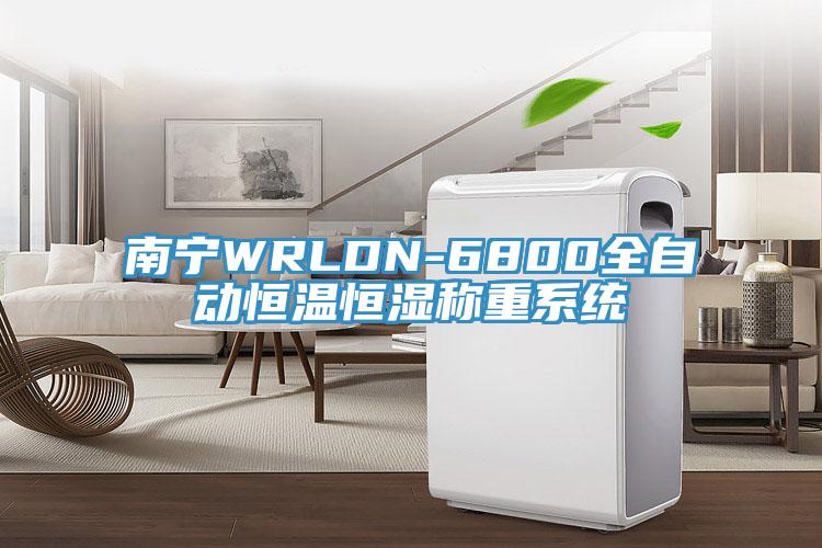 南寧WRLDN-6800全自動(dòng)恒溫恒濕稱重系統(tǒng)