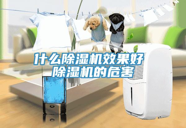 什么除濕機效果好 除濕機的危害