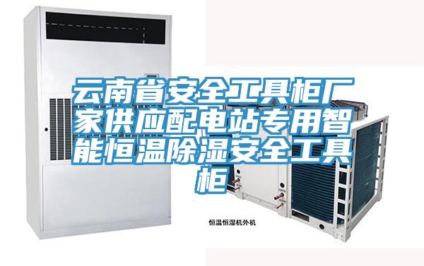 云南省安全工具柜廠家供應(yīng)配電站專用智能恒溫除濕安全工具柜