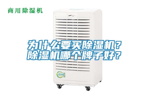 為什么要買除濕機(jī)？除濕機(jī)哪個(gè)牌子好？