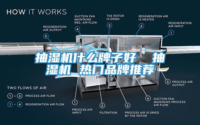 抽濕機(jī)什么牌子好  抽濕機(jī) 熱門(mén)品牌推薦