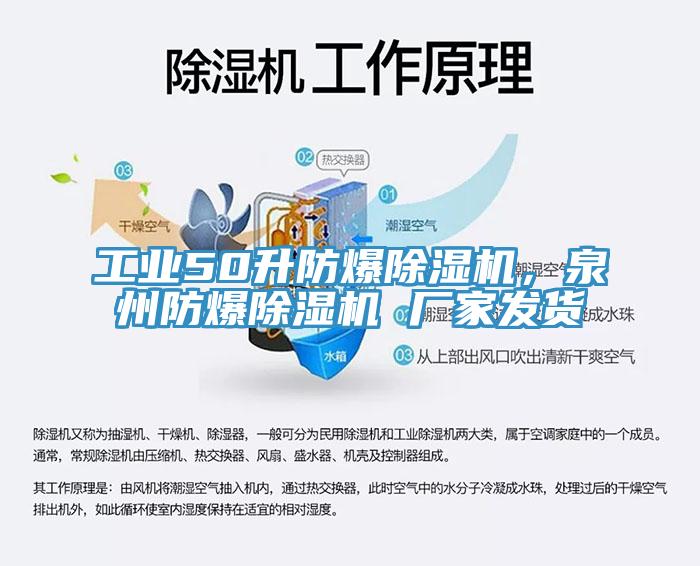 工業(yè)50升防爆除濕機，泉州防爆除濕機 廠家發(fā)貨