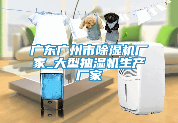 廣東廣州市除濕機廠家_大型抽濕機生產(chǎn)廠家