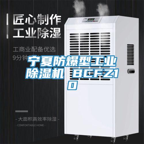 寧夏防爆型工業(yè)除濕機 BCFZ10