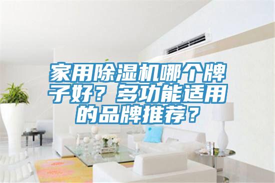 家用除濕機哪個牌子好？多功能適用的品牌推薦？