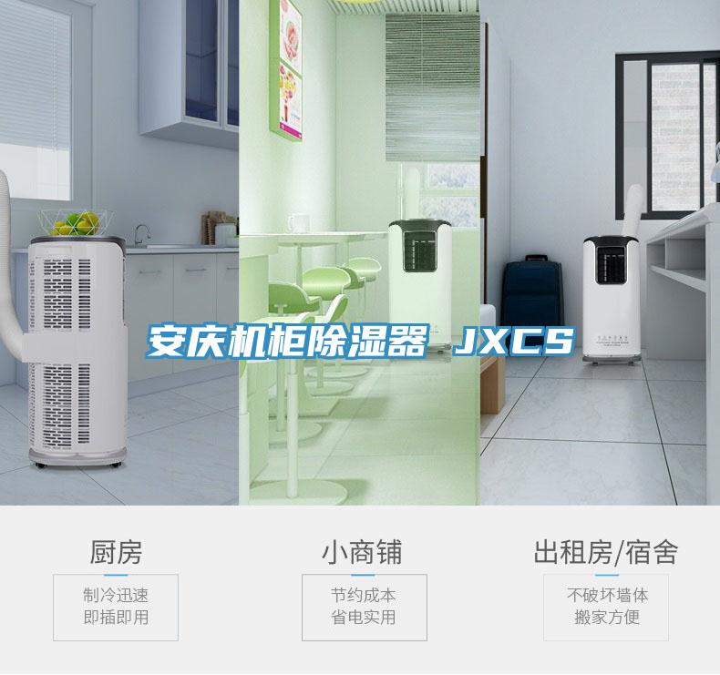 安慶機(jī)柜除濕器 JXCS