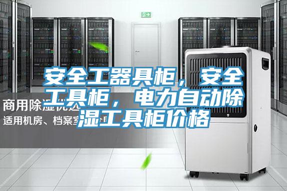 安全工器具柜，安全工具柜，電力自動除濕工具柜價格