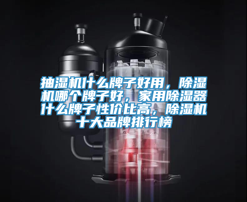 抽濕機(jī)什么牌子好用，除濕機(jī)哪個(gè)牌子好，家用除濕器什么牌子性價(jià)比高，除濕機(jī)十大品牌排行榜