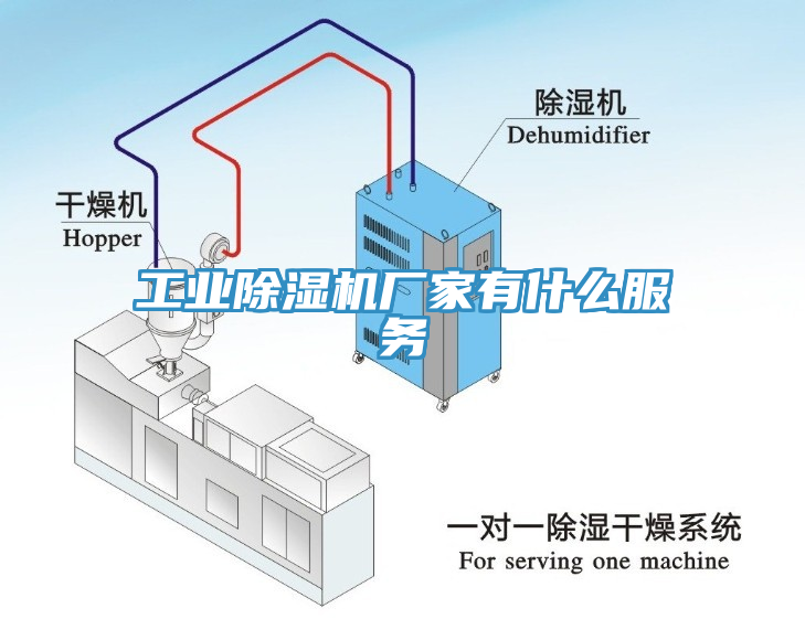 工業(yè)除濕機(jī)廠家有什么服務(wù)