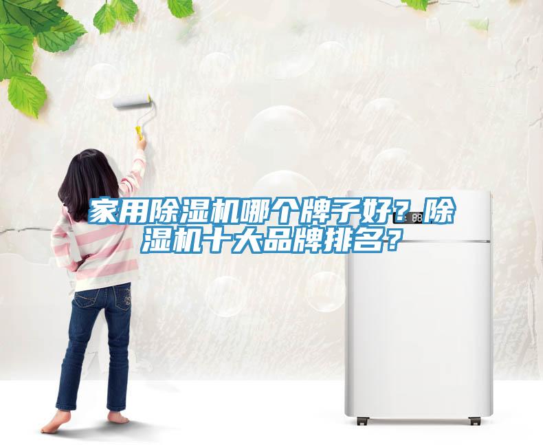 家用除濕機哪個牌子好？除濕機十大品牌排名？