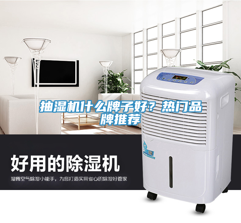 抽濕機(jī)什么牌子好？熱門品牌推薦