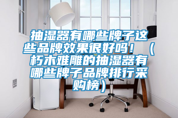 抽濕器有哪些牌子這些品牌效果很好嗎?。ㄐ嗄倦y雕的抽濕器有哪些牌子品牌排行采購(gòu)榜）