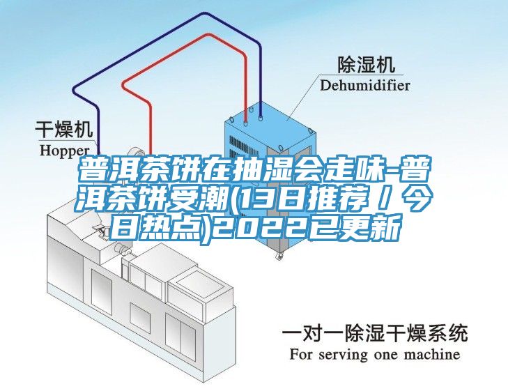 普洱茶餅在抽濕會走味-普洱茶餅受潮(13日推薦／今日熱點)2022已更新