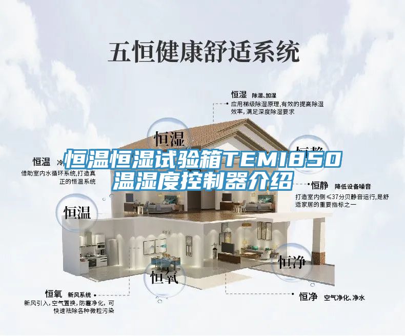 恒溫恒濕試驗箱TEMI850溫濕度控制器介紹