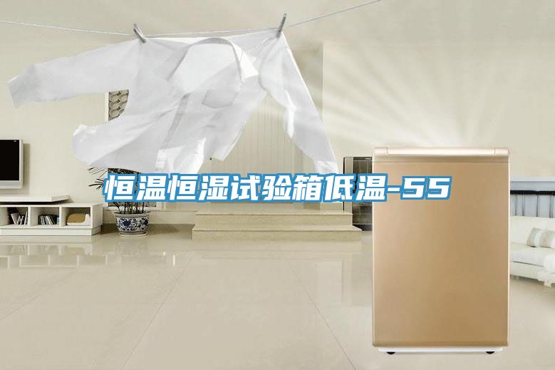 恒溫恒濕試驗箱低溫-55℃