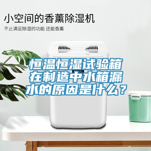 恒溫恒濕試驗(yàn)箱在制造中水箱漏水的原因是什么？